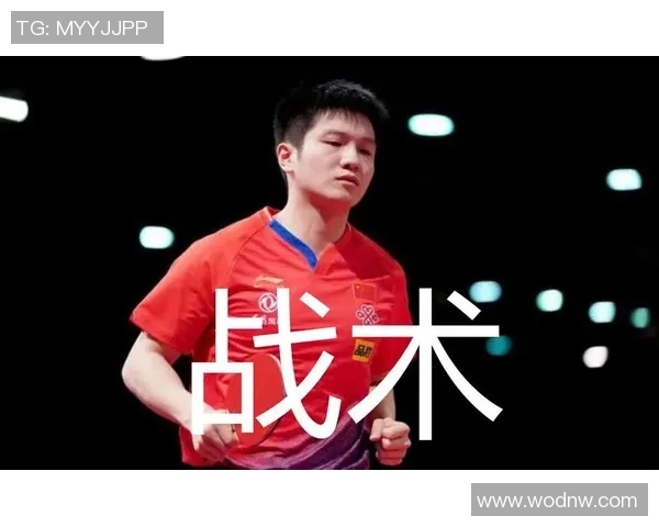 斯通斯与罗德里双后腰战术的稳定性分析与应用探讨